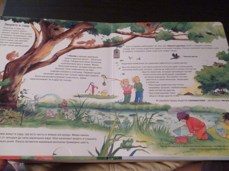 Энциклопедии про животных