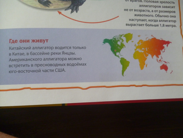 Энциклопедии про животных