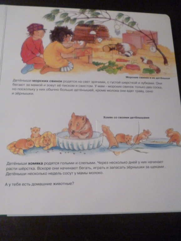 Энциклопедии про животных