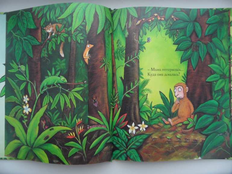 Наши книжные новинки (1,6)