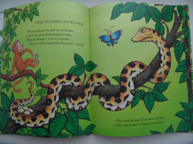 Наши книжные новинки (1,6)