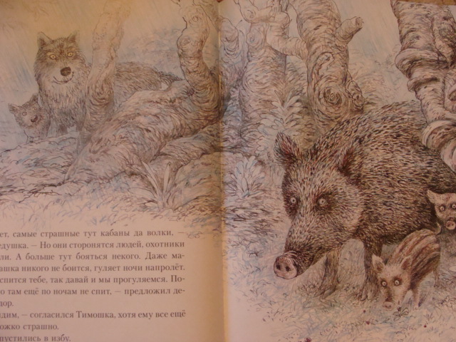 Наши любимые книги