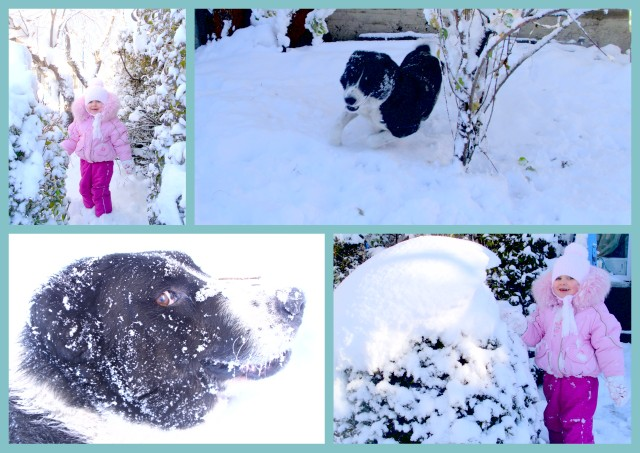 Снег снег снег