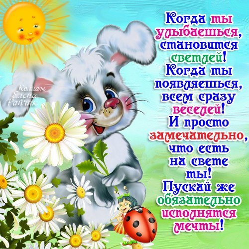 516a078a11814de647745aeddb280872.jpg