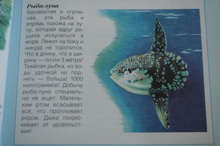 Апрельские новобранцы