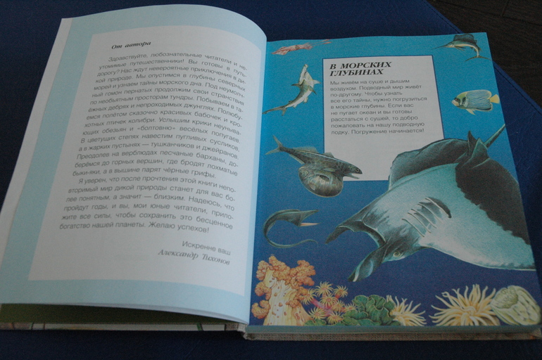 Апрельские новобранцы