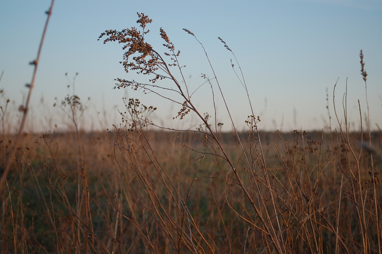 Вечерняя прогулка