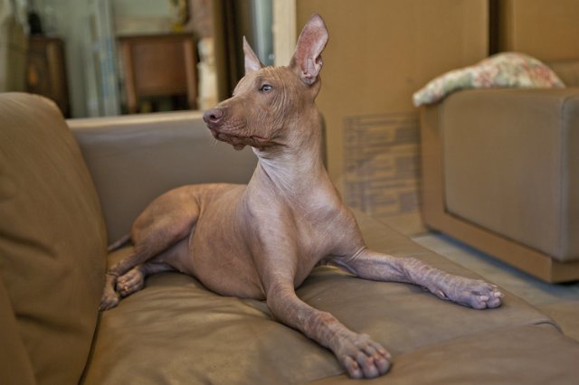 Первая выставка моей любимой иностранки))