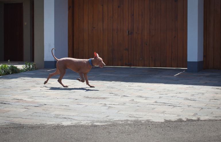 Перуанский парень