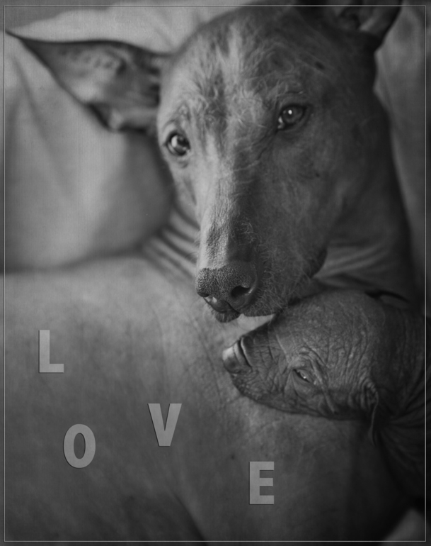 Чудо мамочка))