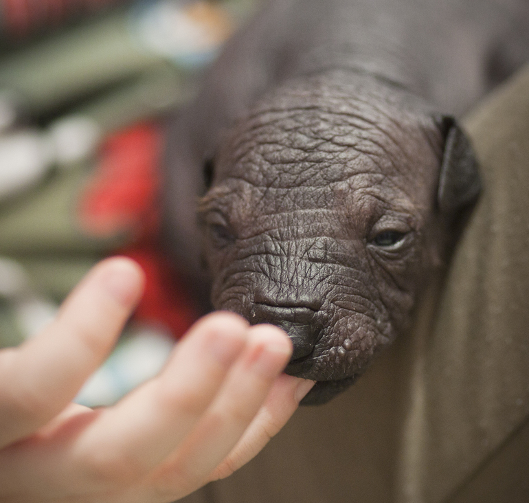 а глазки, как в сказке..
