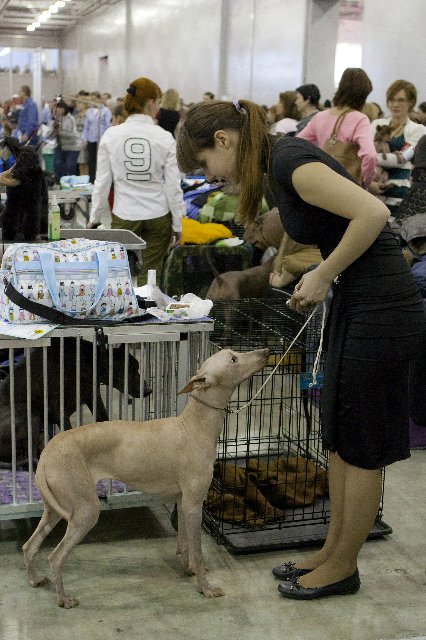 Первая выставка моей любимой иностранки))