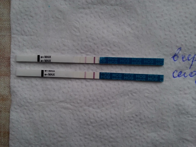 Поярчали хоть чуть-чуть за день?