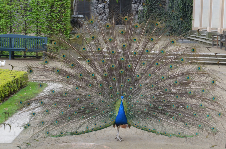 Прага 12-19 апреля 2014 год