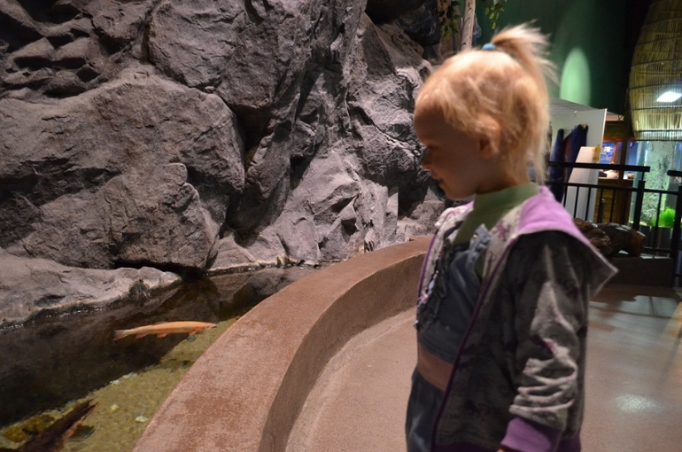 Санкт-Петербург, 7 - 14 июня 2014 год