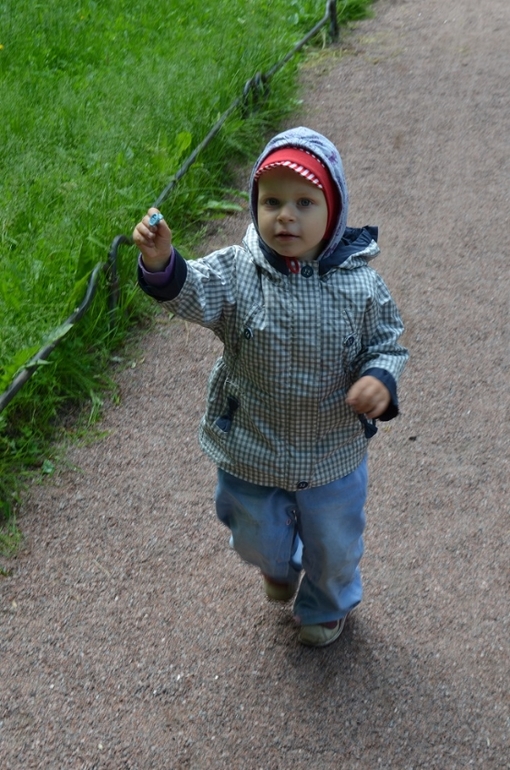 Санкт-Петербург, 7 - 14 июня 2014 год