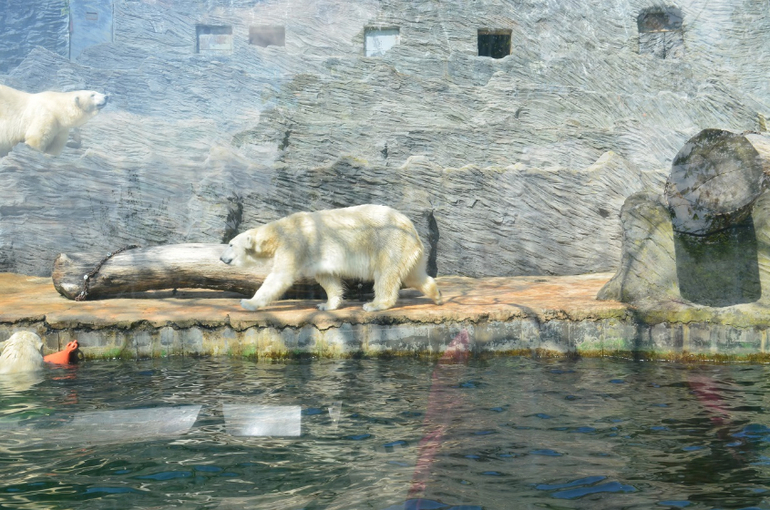 Прага 12-19 апреля 2014 год