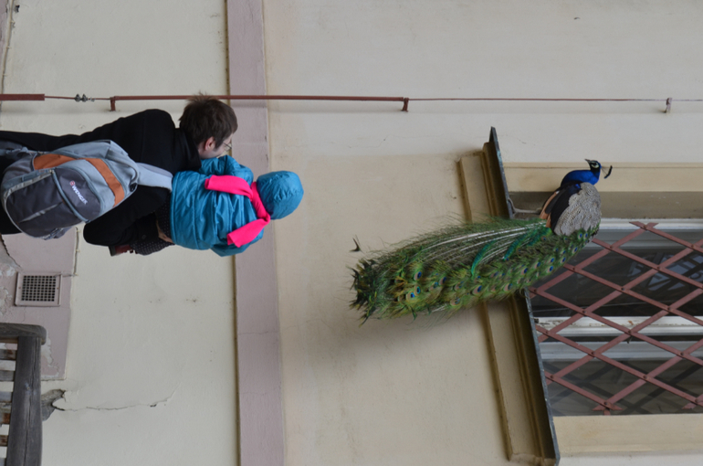 Прага 12-19 апреля 2014 год