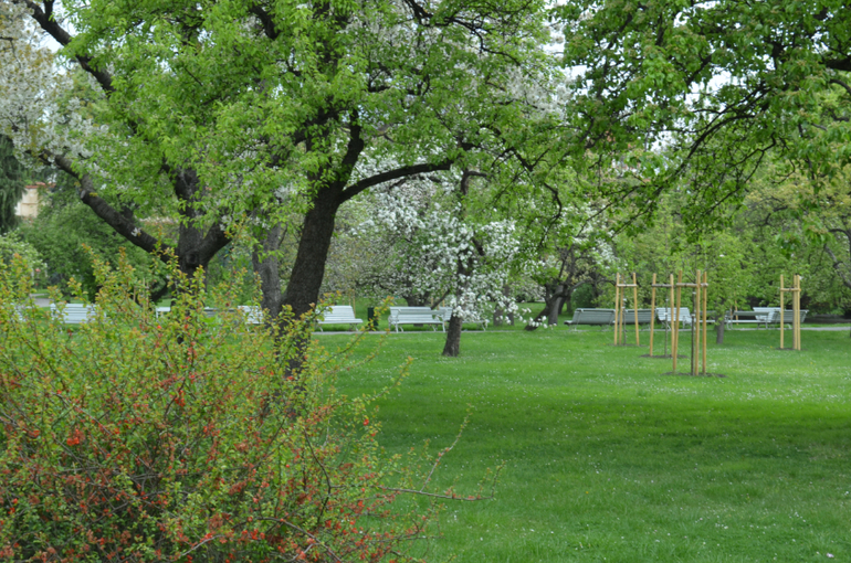 Прага 12-19 апреля 2014 год