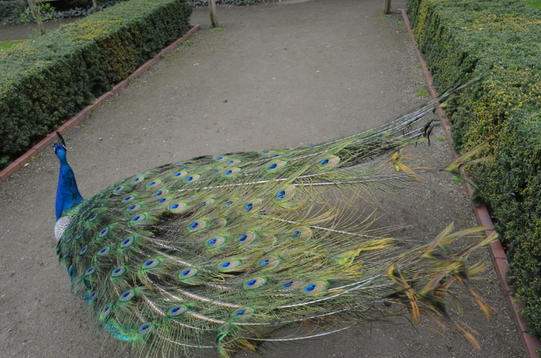 Прага 12-19 апреля 2014 год