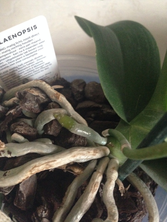 Нужна помощь!!!