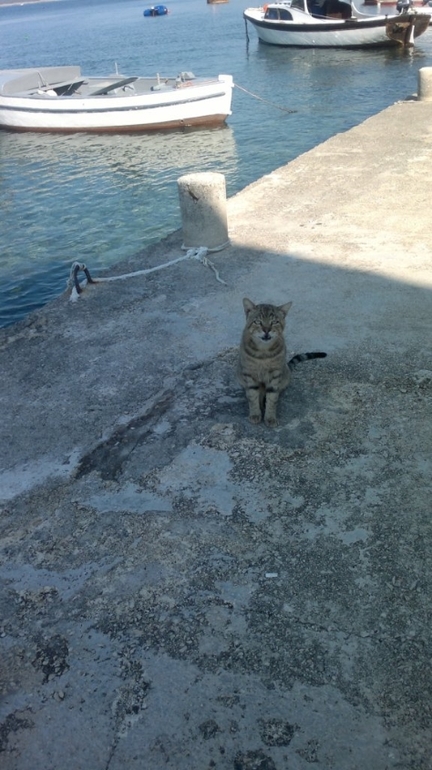 Черногория 2013, Бигова(много фото)