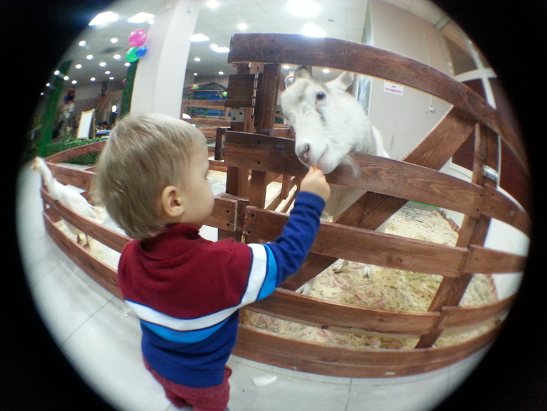 Контактный зоопарк