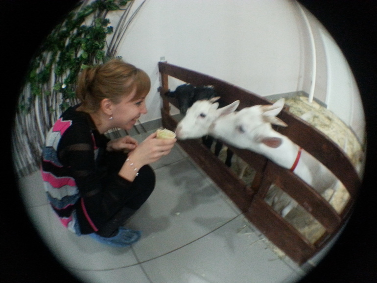 Контактный зоопарк