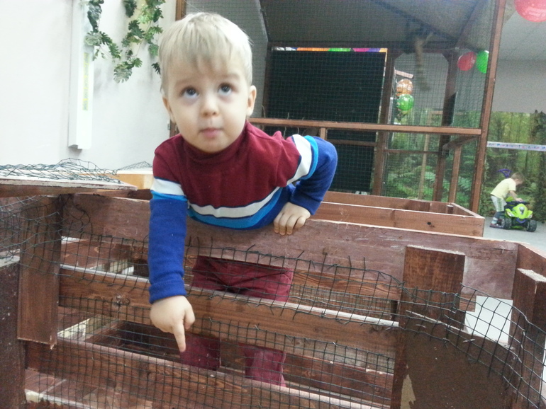 Контактный зоопарк