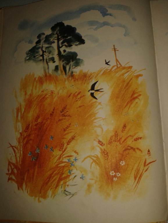 Галина Новицкая