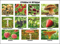 Летние предложения от my-shop!!!!Подписывайтесь!!!