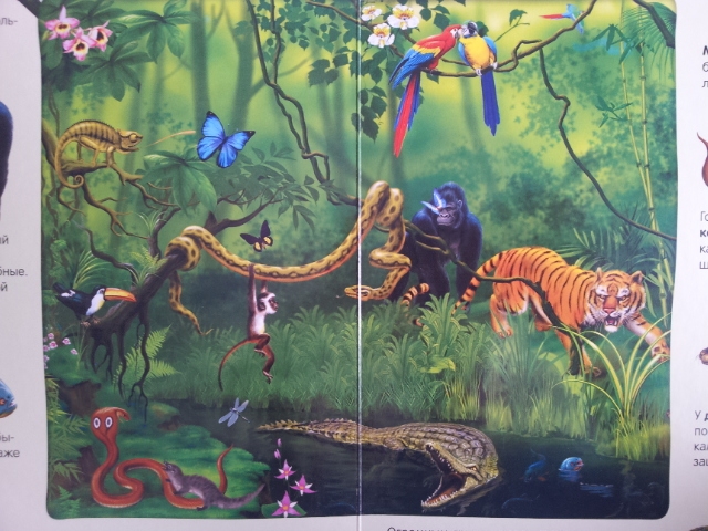 100 волшебных звуков или