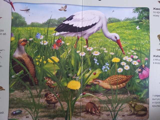 100 волшебных звуков или