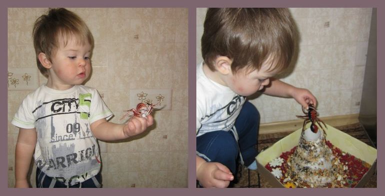 ТН НАСЕКОМЫЕ День 3