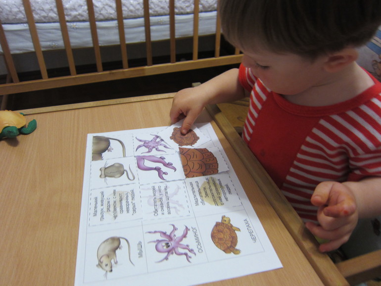 ТЗ Куда спешит черепаха