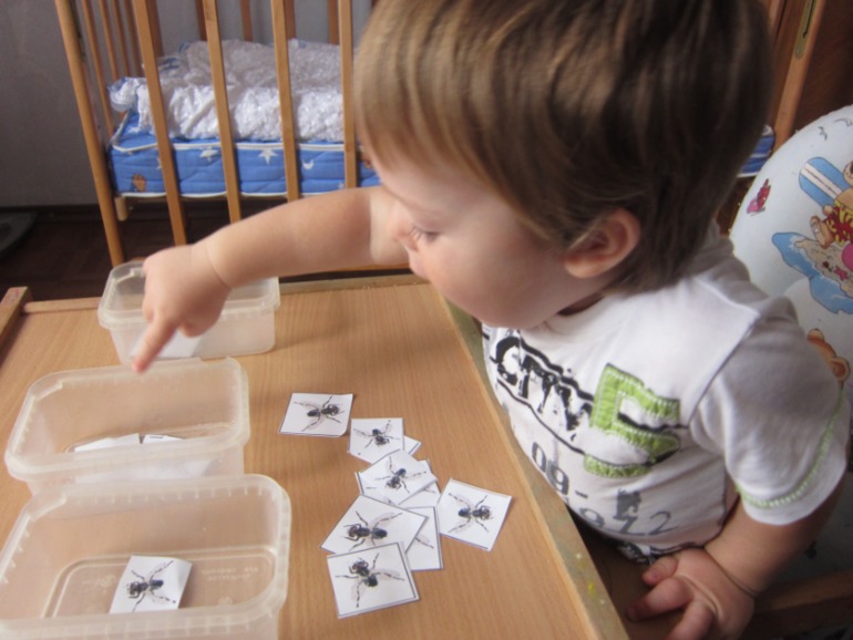 ТН НАСЕКОМЫЕ День 5