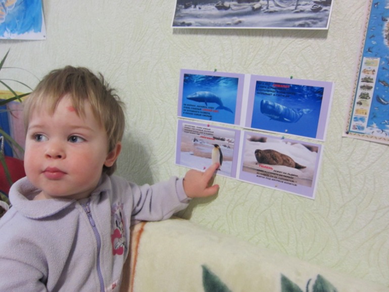 ТН АРКТИКА И АНТАРКТИКА День 2