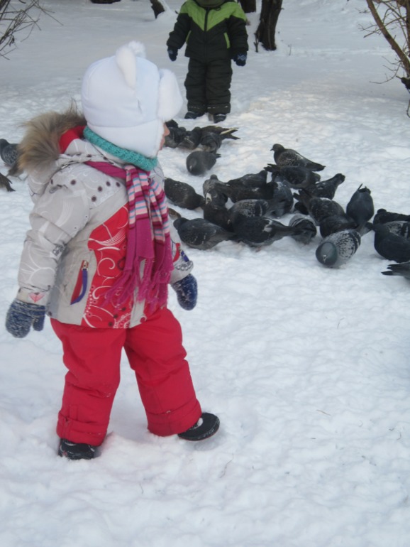 ТН Встречавем зиму. День второй. Зимующие птицы
