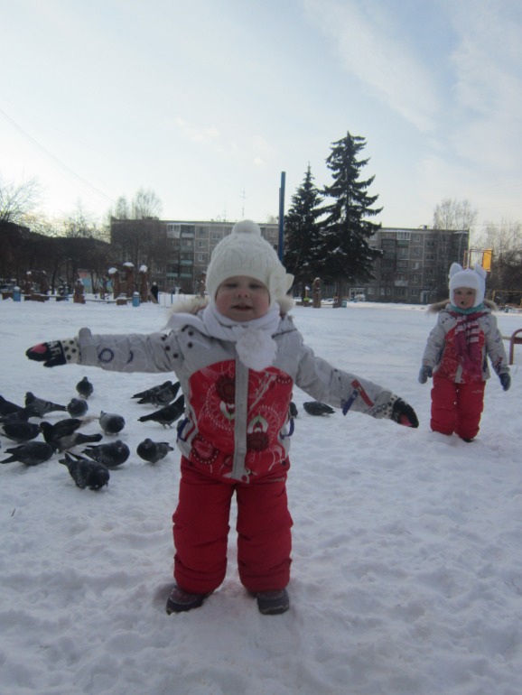 ТН Встречавем зиму. День второй. Зимующие птицы