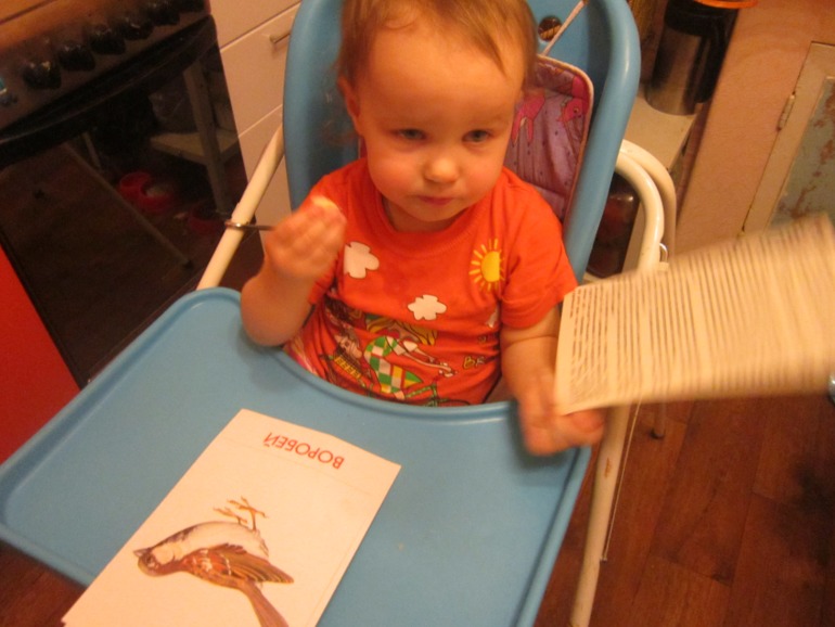 ТН Встречавем зиму. День второй. Зимующие птицы