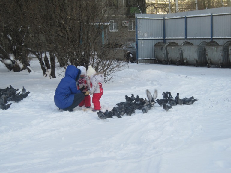 ТН Встречавем зиму. День второй. Зимующие птицы