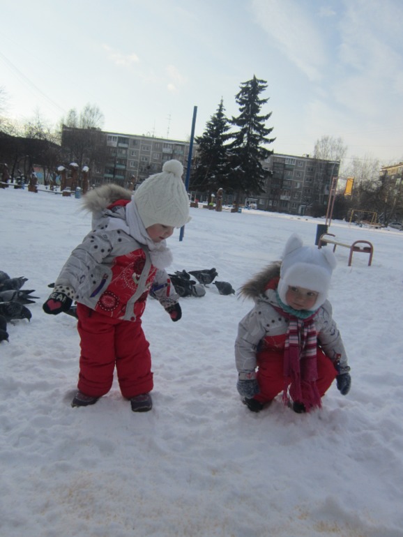 ТН Встречавем зиму. День второй. Зимующие птицы