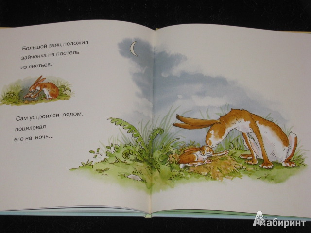 Новые книжки - полный восторг!