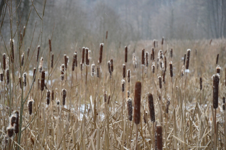 Усадьба Деда Мороза