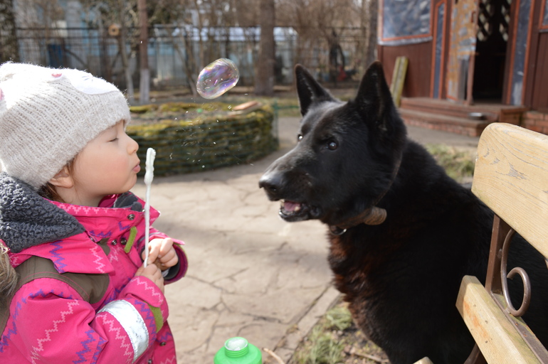 Собака-друг ребенка)