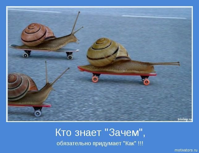 Взлет 74 день 13