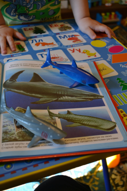 Наши животные