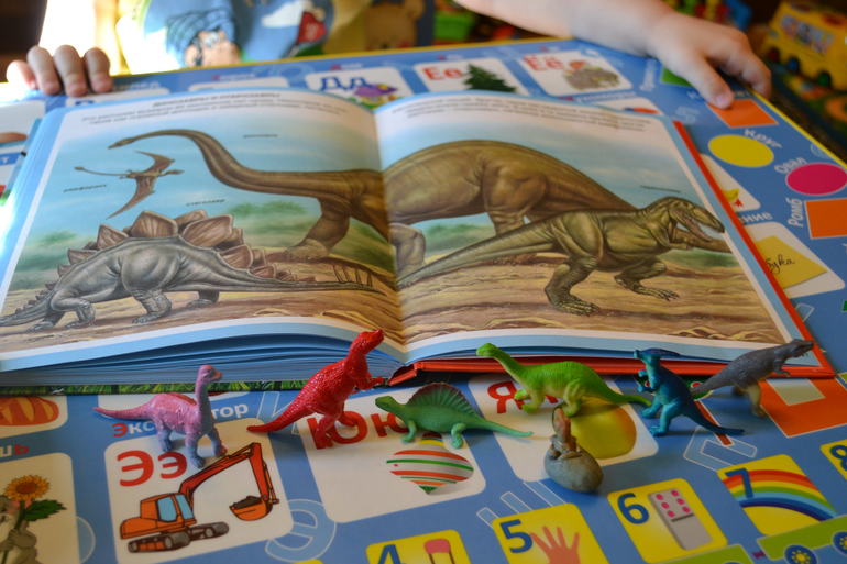 Наши животные