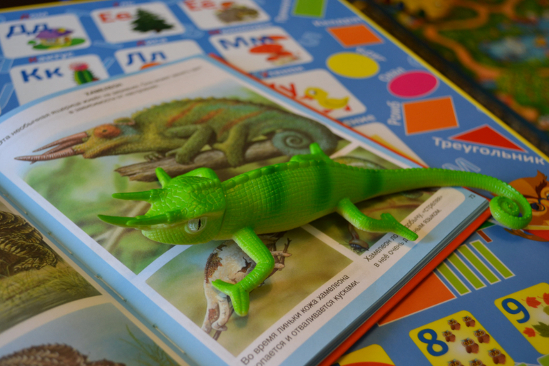 Наши животные