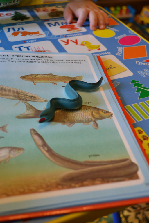 Наши животные